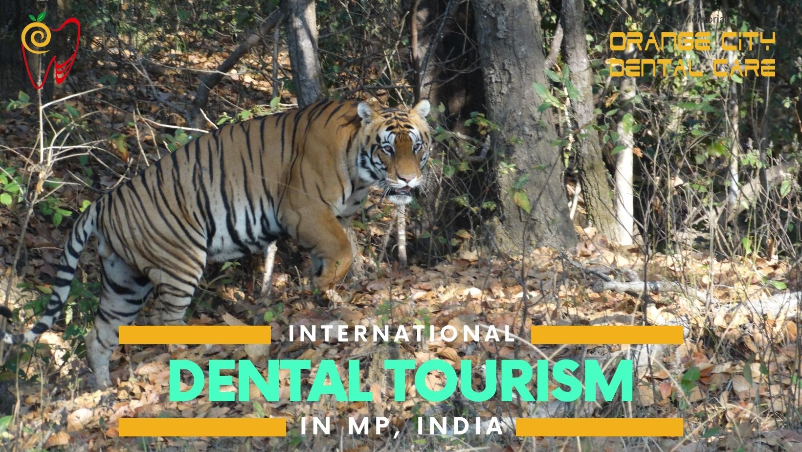 Dental Tourism In The Heart Of India, Madhya Pradesh